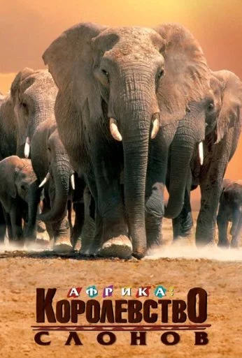 Африка - королевство слонов (1998) онлайн бесплатно